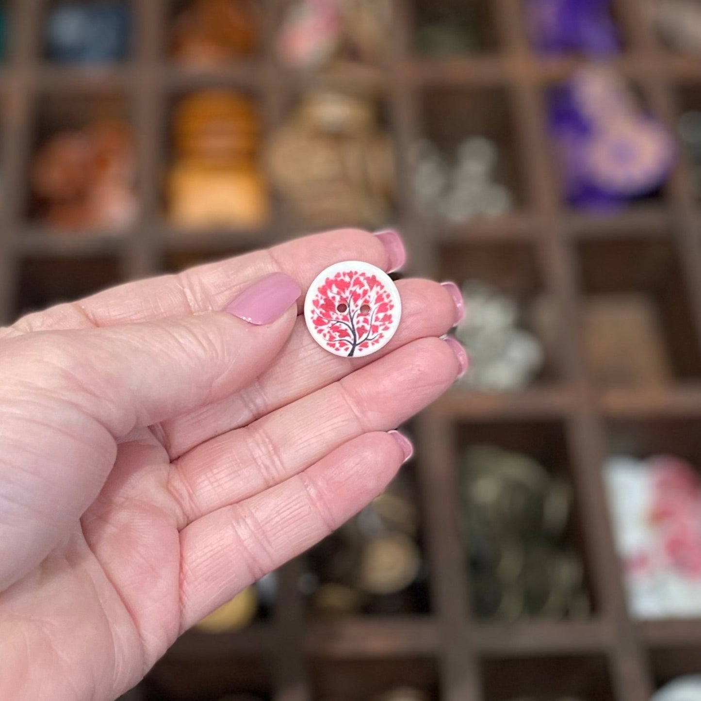 Button, Flame Tree Shell, 20mm