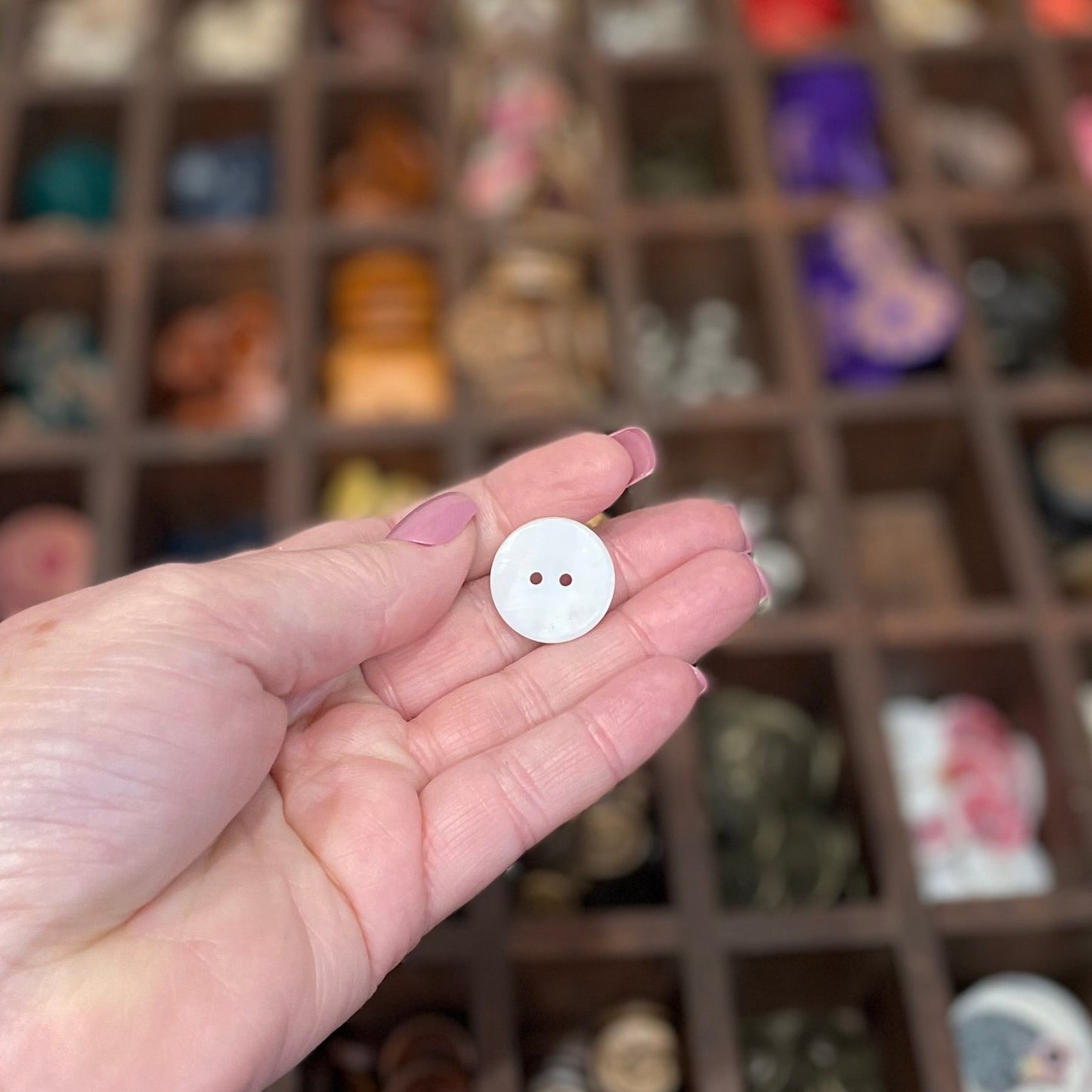 Button, Flame Tree Shell, 20mm