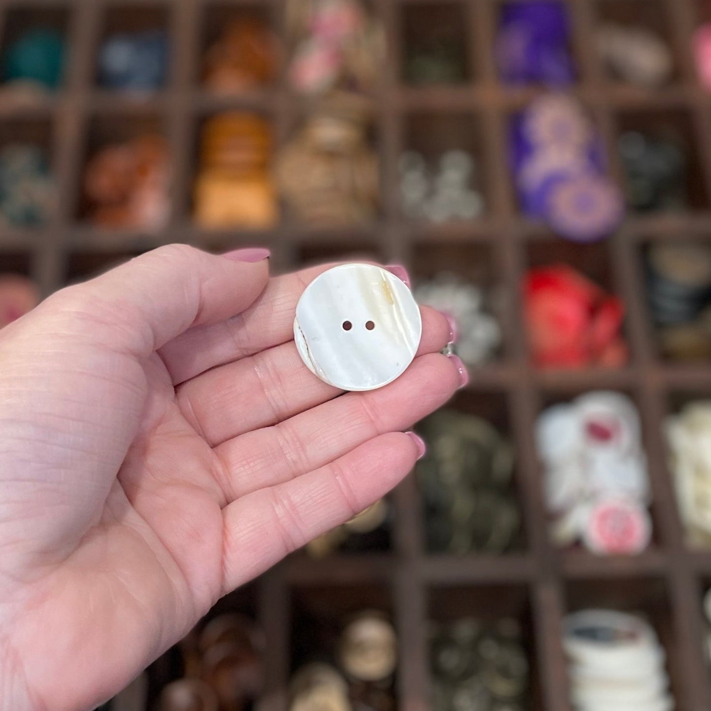 Button, Colourful Tree Shell, 30mm