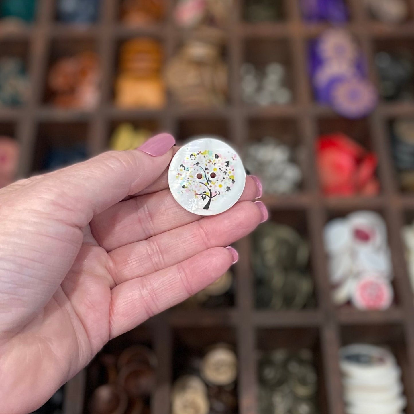 Button, Colourful Tree Shell, 30mm