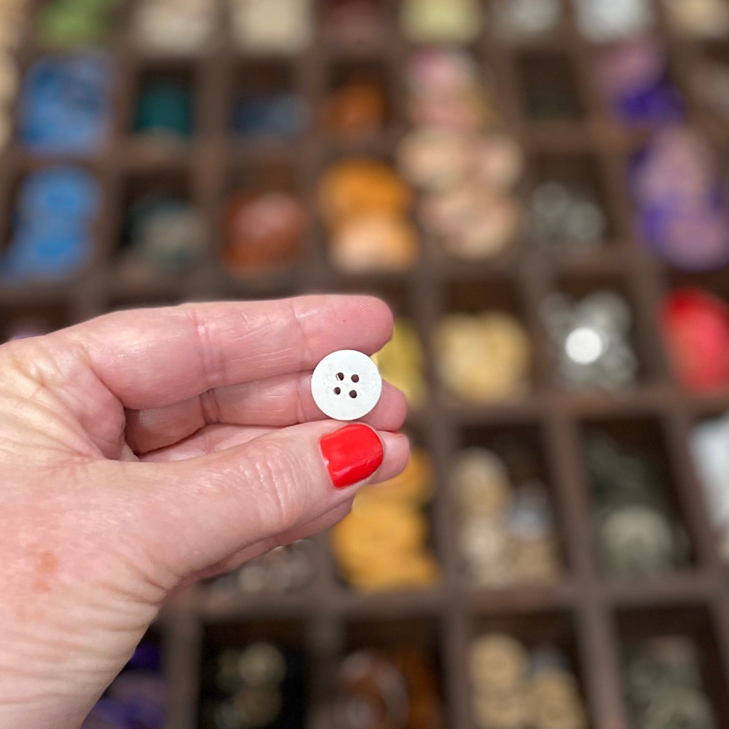Button, White Star Pear Wood, 15mm