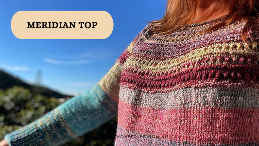 Project:  Meridian Top