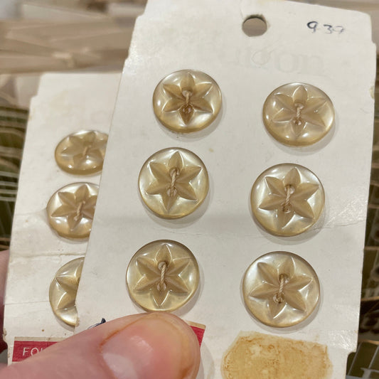 Hand holding a card with gold star-shaped buttons.