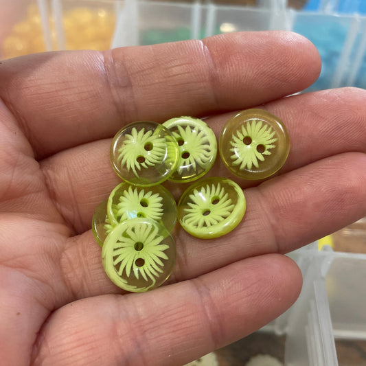 Hand holding small green circular objects with a clear container of similar items in the background.