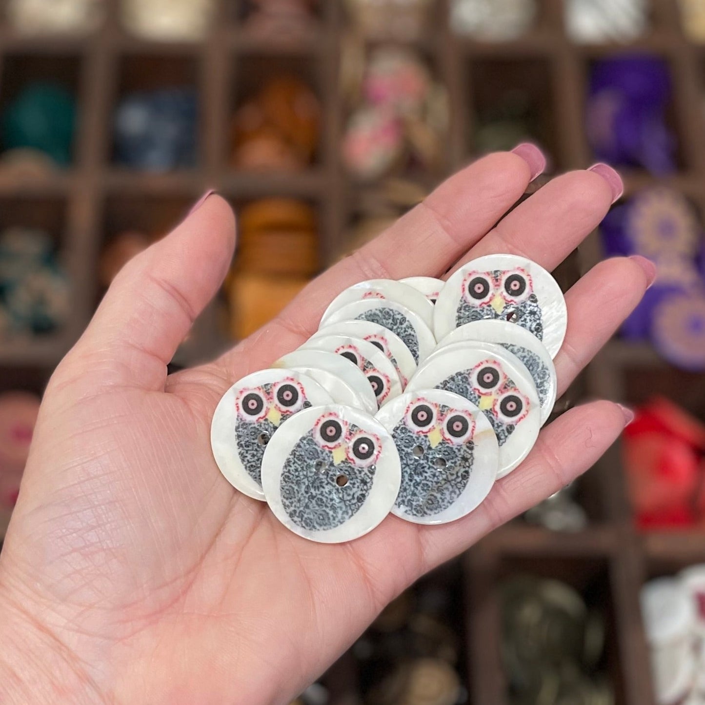 Button, Owl Shell, 30mm