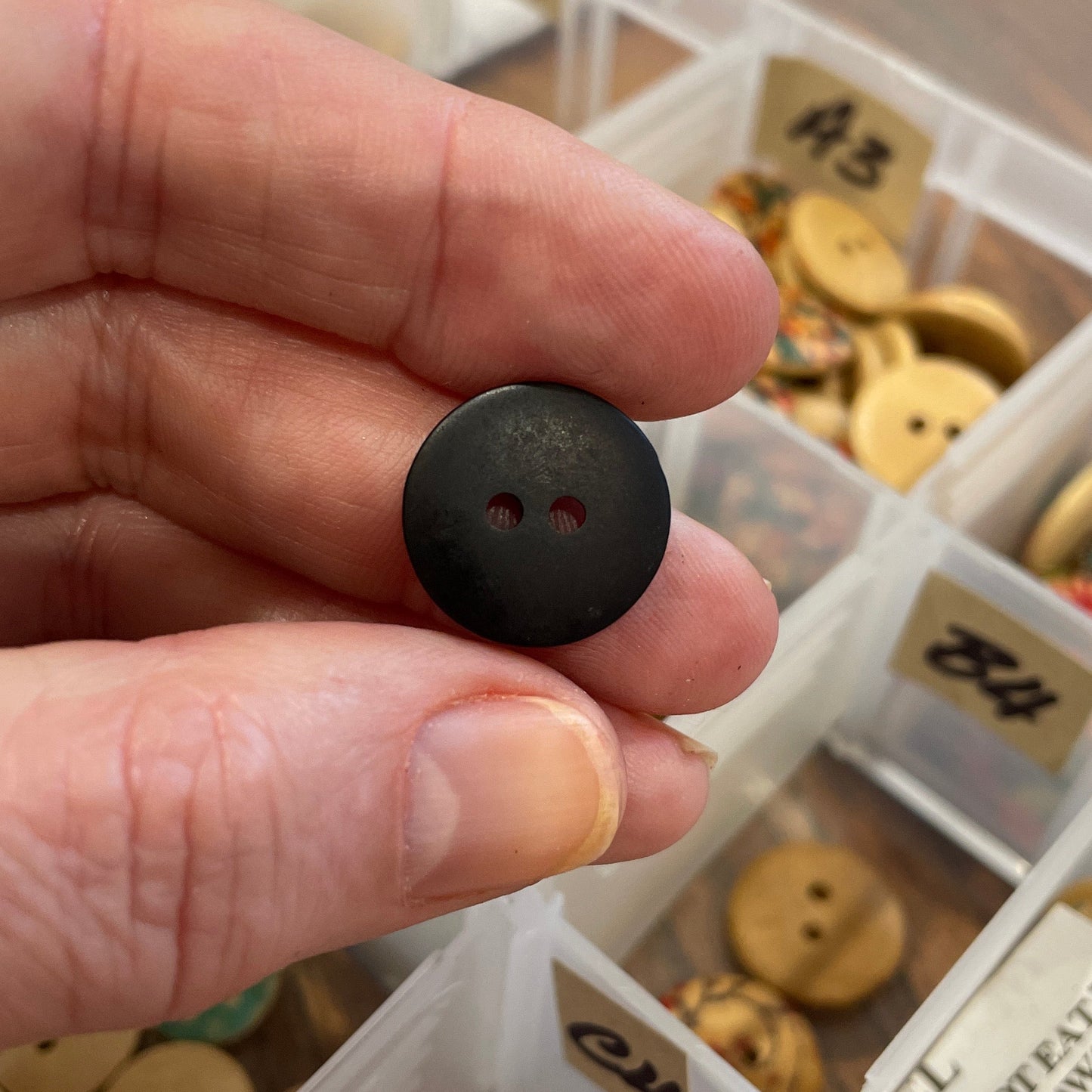 Hand holding a black button with a button collection organizer in the background